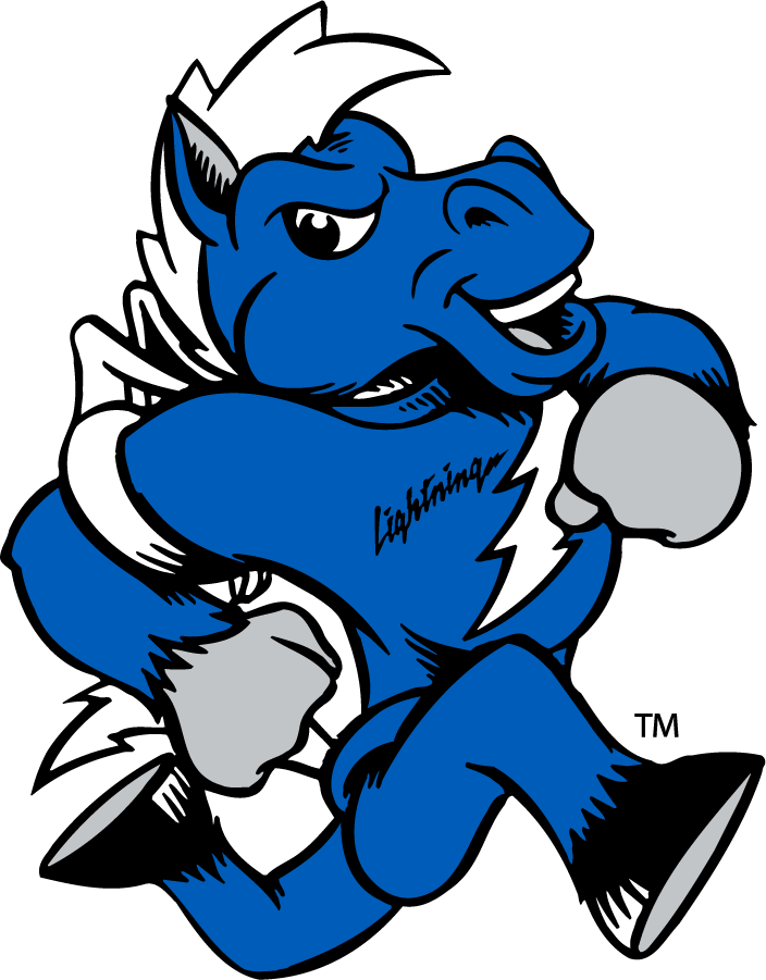 Middle Tennessee Blue Raiders 2015-Pres Mascot Logo diy iron on heat transfer